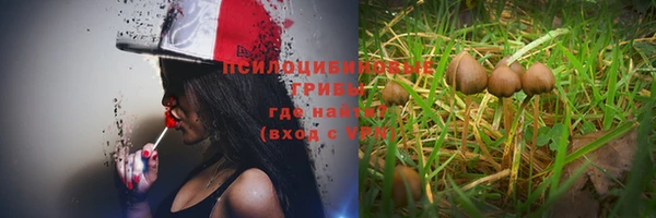 метадон Богородск