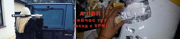 хмурый Богородицк