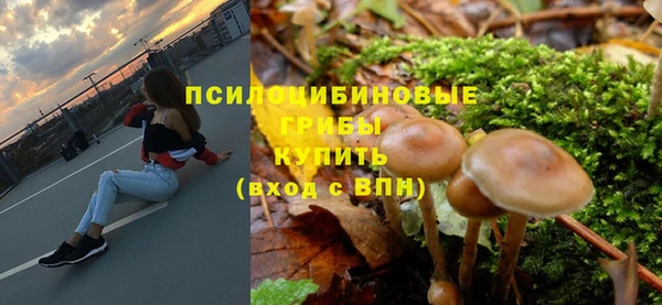 хмурый Богородицк
