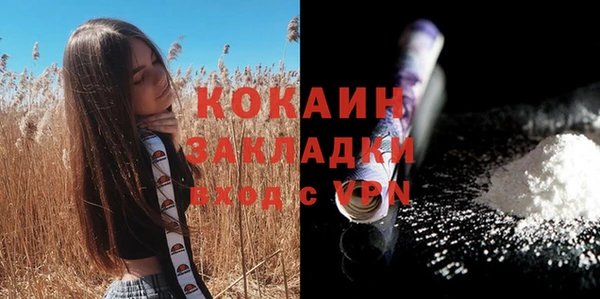 Альфа ПВП Бородино