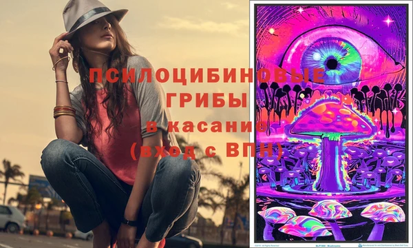 хмурый Богородицк