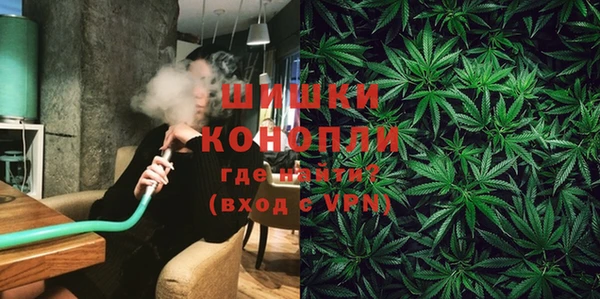 PSILOCYBIN Осинники